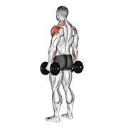 ภาพเคลื่อนไหวสาธิตท่า Dumbbell Rear Delt Raise เน้นกล้ามเนื้อไหล่ (เดลทอยด์)