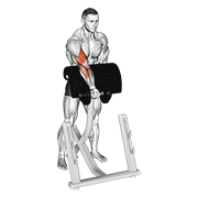 ภาพเคลื่อนไหวสาธิตท่า Dumbbell Standing Zottman Preacher Curl เน้นกล้ามเนื้อกล้ามเนื้อหน้าแขน (ไบเซปส์)