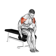 ภาพเคลื่อนไหวสาธิตท่า Dumbbell Seated Bent Arm Lateral Raise เน้นกล้ามเนื้อไหล่ (เดลทอยด์)
