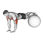 ภาพเคลื่อนไหวสาธิตท่า Narrow Push-up On Exercise Ball เน้นกล้ามเนื้อกล้ามเนื้อหลังแขน (ไทรเซปส์)