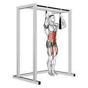 ภาพเคลื่อนไหวสาธิตท่า Arm Slingers Hanging Straight Legs เน้นกล้ามเนื้อหน้าท้อง