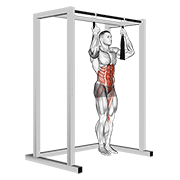 ภาพเคลื่อนไหวสาธิตท่า Arm Slingers Hanging Bent Knee Legs เน้นกล้ามเนื้อหน้าท้อง