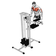 ภาพเคลื่อนไหวสาธิตท่า Assisted Wide-grip Chest Dip (kneeling) เน้นกล้ามเนื้อกล้ามเนื้อหน้าอก