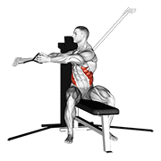 ภาพเคลื่อนไหวสาธิตท่า Cable Seated Twist เน้นกล้ามเนื้อหน้าท้อง