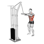 ภาพเคลื่อนไหวสาธิตท่า Cable Thibaudeau Kayak Row เน้นกล้ามเนื้อปีกหลัง (แลตส์)