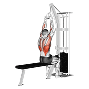 ภาพเคลื่อนไหวสาธิตท่า Cable Lateral Pulldown With V-bar เน้นกล้ามเนื้อปีกหลัง (แลตส์)