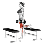 ภาพเคลื่อนไหวสาธิตท่า Dumbbell Step-up Lunge เน้นกล้ามเนื้อต้นขาด้านหน้า (ควอดส์)