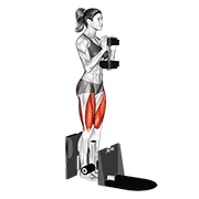 ภาพเคลื่อนไหวสาธิตท่า Dumbbell Supported Squat เน้นกล้ามเนื้อต้นขาด้านหน้า (ควอดส์)