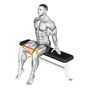 ภาพเคลื่อนไหวสาธิตท่า Resistance Band Seated Hip Abduction เน้นกล้ามเนื้อกล้ามเนื้อสะโพกด้านนอก