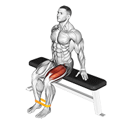 ภาพเคลื่อนไหวสาธิตท่า Resistance Band Leg Extension เน้นกล้ามเนื้อต้นขาด้านหน้า (ควอดส์)