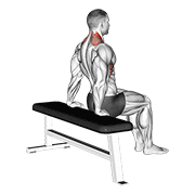 ภาพเคลื่อนไหวสาธิตท่า Scapula Dips เน้นกล้ามเนื้อกล้ามเนื้อบ่า (แทรปส์)