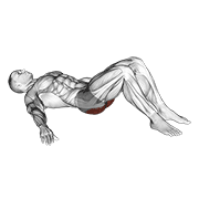 ภาพเคลื่อนไหวสาธิตท่า Low Glute Bridge On Floor เน้นกล้ามเนื้อกล้ามเนื้อก้น