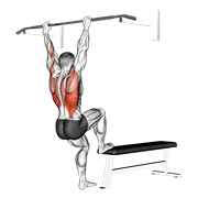 ภาพเคลื่อนไหวสาธิตท่า Bench Pull-ups เน้นกล้ามเนื้อปีกหลัง (แลตส์)