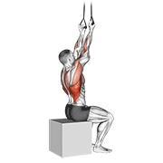 ภาพเคลื่อนไหวสาธิตท่า Band Fixed Back Underhand Pulldown เน้นกล้ามเนื้อปีกหลัง (แลตส์)