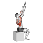 ภาพเคลื่อนไหวสาธิตท่า Band Fixed Back Close Grip Pulldown เน้นกล้ามเนื้อปีกหลัง (แลตส์)