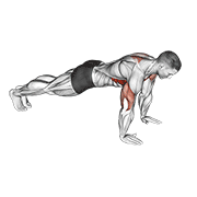 ภาพเคลื่อนไหวสาธิตท่า Push-up Plus เน้นกล้ามเนื้อกล้ามเนื้อหน้าอก