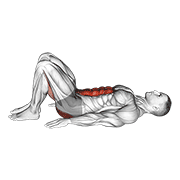 ภาพเคลื่อนไหวสาธิตท่า Pelvic Tilt เน้นกล้ามเนื้อหน้าท้อง