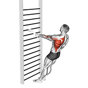 ภาพเคลื่อนไหวสาธิตท่า Bodyweight Standing One Arm Row (with Towel) เน้นกล้ามเนื้อหลังส่วนบน