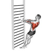 ภาพเคลื่อนไหวสาธิตท่า Bodyweight Standing Row (with Towel) เน้นกล้ามเนื้อหลังส่วนบน