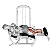 ภาพเคลื่อนไหวสาธิตท่า Lever Lying Two-one Leg Curl เน้นกล้ามเนื้อต้นขาด้านหลัง (แฮมสตริง)