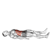 ภาพเคลื่อนไหวสาธิตท่า Half Sit-up (male) เน้นกล้ามเนื้อหน้าท้อง