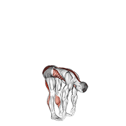 ภาพเคลื่อนไหวสาธิตท่า Basic Toe Touch (male) เน้นกล้ามเนื้อกล้ามเนื้อก้น