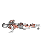 ภาพเคลื่อนไหวสาธิตท่า Modified Hindu Push-up (male) เน้นกล้ามเนื้อกล้ามเนื้อหน้าอก