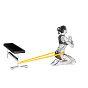 ภาพเคลื่อนไหวสาธิตท่า Resistance Band Hip Thrusts On Knees (female) เน้นกล้ามเนื้อกล้ามเนื้อก้น