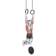 ภาพเคลื่อนไหวสาธิตท่า Weighted Muscle Up เน้นกล้ามเนื้อปีกหลัง (แลตส์)