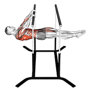 ภาพเคลื่อนไหวสาธิตท่า Front Lever Reps เน้นกล้ามเนื้อหลังส่วนบน