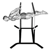 ภาพเคลื่อนไหวสาธิตท่า Back Lever เน้นกล้ามเนื้อหลังส่วนบน