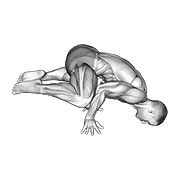 ภาพเคลื่อนไหวสาธิตท่า Frog Planche เน้นกล้ามเนื้อหน้าท้อง