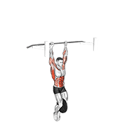 ภาพเคลื่อนไหวสาธิตท่า Weighted Muscle Up (on Bar) เน้นกล้ามเนื้อปีกหลัง (แลตส์)
