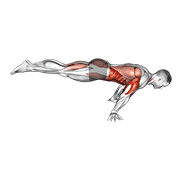ภาพเคลื่อนไหวสาธิตท่า Full Planche Push-up เน้นกล้ามเนื้อกล้ามเนื้อหน้าอก