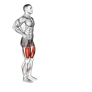 ภาพเคลื่อนไหวสาธิตท่า Forward Lunge (male) เน้นกล้ามเนื้อกล้ามเนื้อก้น