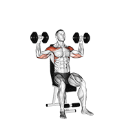 ภาพเคลื่อนไหวสาธิตท่า Dumbbell Seated Alternate Shoulder เน้นกล้ามเนื้อไหล่ (เดลทอยด์)
