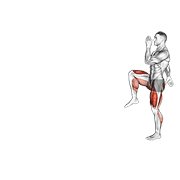 ภาพเคลื่อนไหวสาธิตท่า Walking High Knees Lunge เน้นกล้ามเนื้อระบบหัวใจและหลอดเลือด
