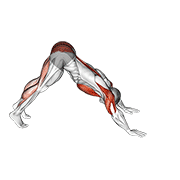 ภาพเคลื่อนไหวสาธิตท่า Pike-to-cobra Push-up เน้นกล้ามเนื้อกล้ามเนื้อก้น