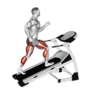 ภาพเคลื่อนไหวสาธิตท่า Walking On Incline Treadmill เน้นกล้ามเนื้อระบบหัวใจและหลอดเลือด