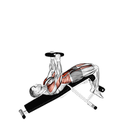 ภาพเคลื่อนไหวสาธิตท่า Weighted Decline Sit-up เน้นกล้ามเนื้อหน้าท้อง