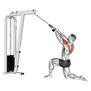ภาพเคลื่อนไหวสาธิตท่า Cable Kneeling Rear Delt Row (with Rope) (male) เน้นกล้ามเนื้อไหล่ (เดลทอยด์)