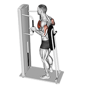 ภาพเคลื่อนไหวสาธิตท่า Lever Standing Chest Press เน้นกล้ามเนื้อกล้ามเนื้อหน้าอก