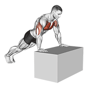 ภาพเคลื่อนไหวสาธิตท่า Incline Push-up (on Box) เน้นกล้ามเนื้อกล้ามเนื้อหน้าอก